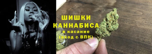 сатива Осинники