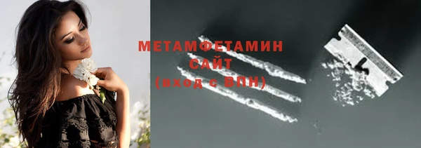 сатива Осинники