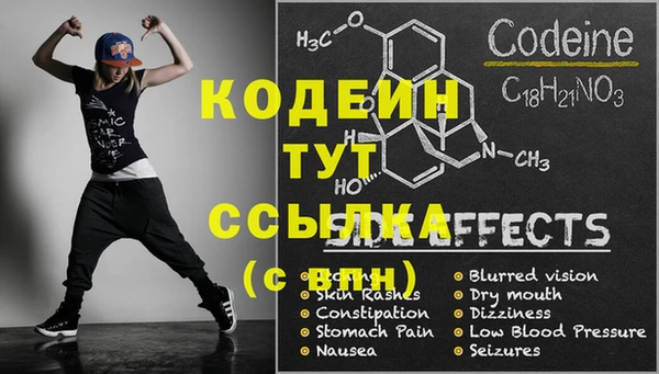 сатива Осинники