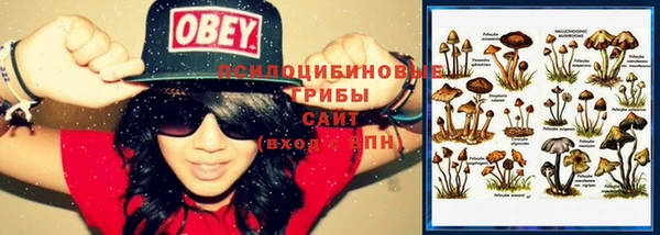 jwh Кукмор